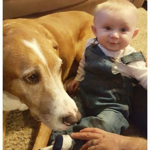 Meet your Posher, Joy